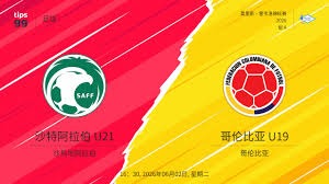 鲁尼对曼联出售麦克托米奈的看法与未来展望